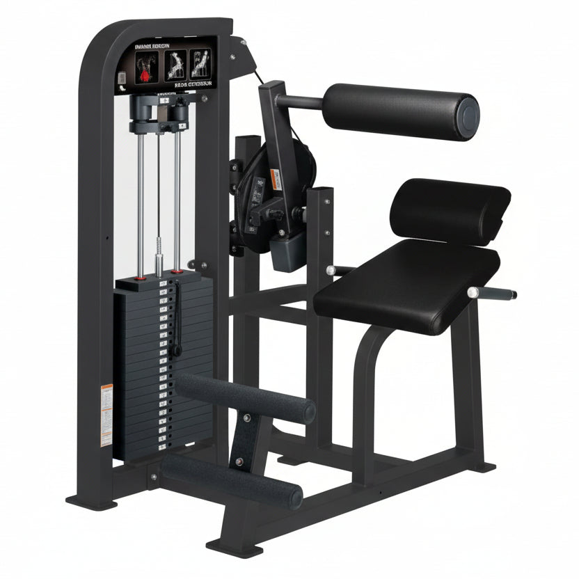 Back Extension Machine