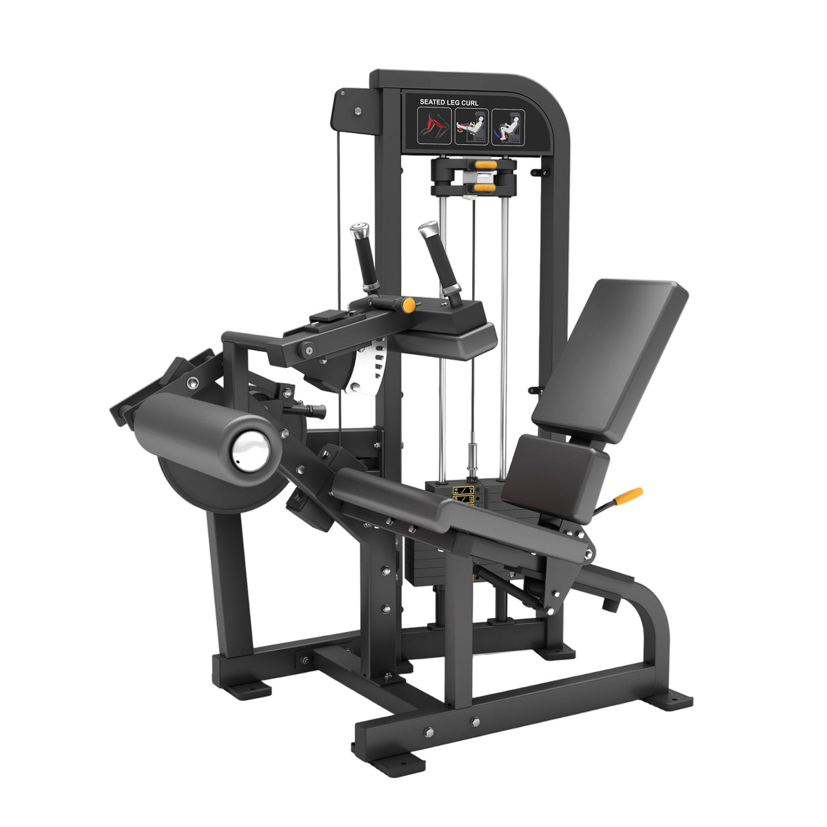Leg Curl Machine – WE BUILD GYMS