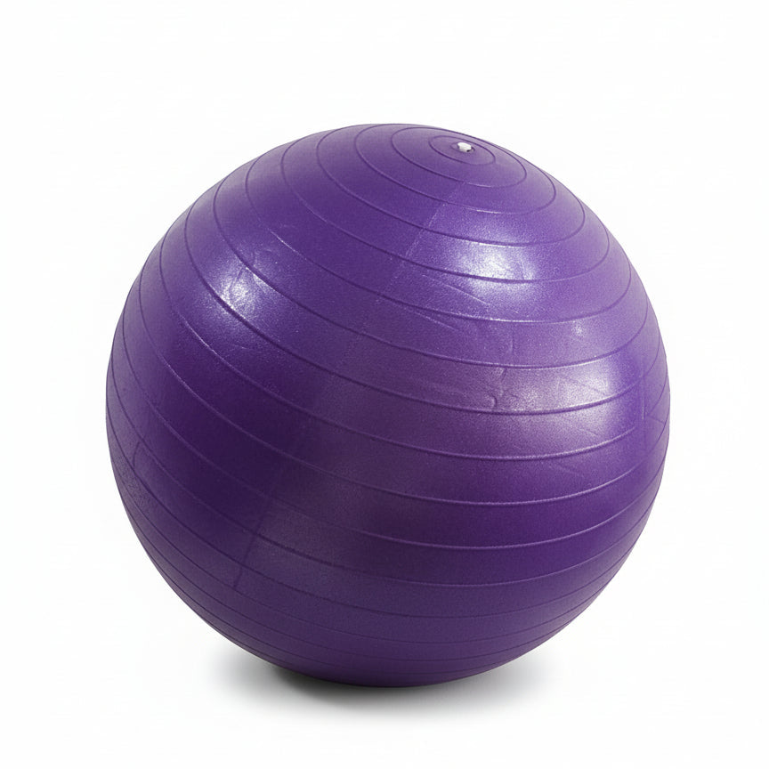 High-Grade Anti-Burst PVC Exercise/Yoga Ball