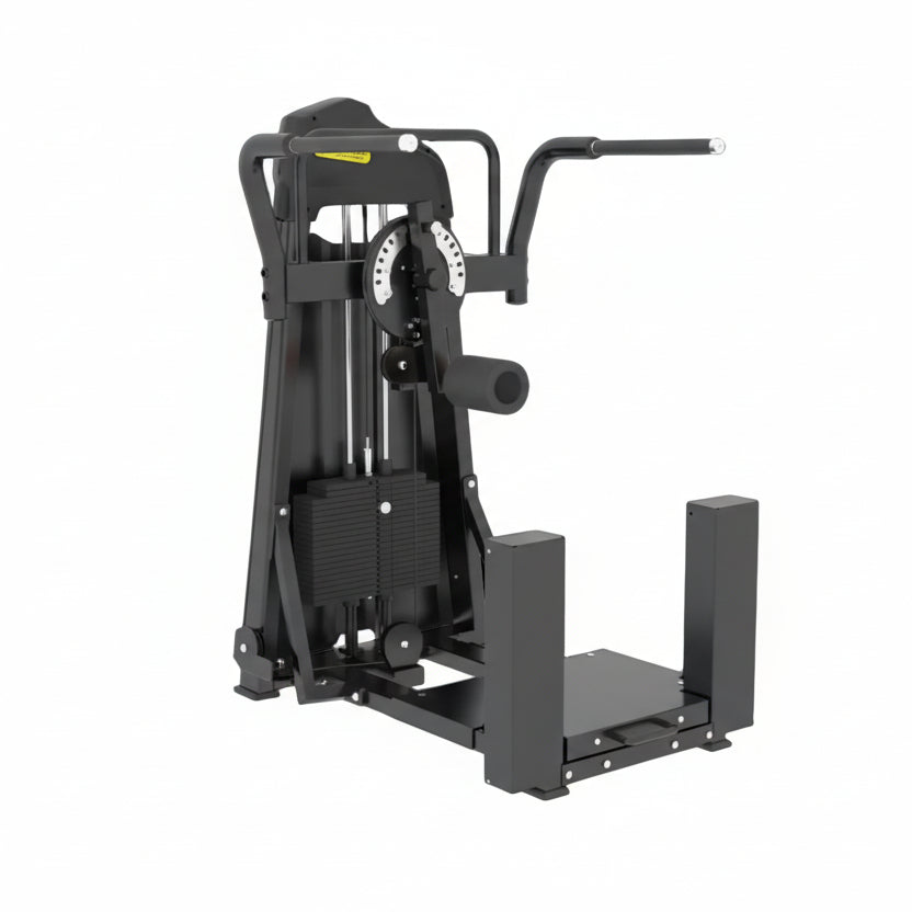 Multi-Hip Machine