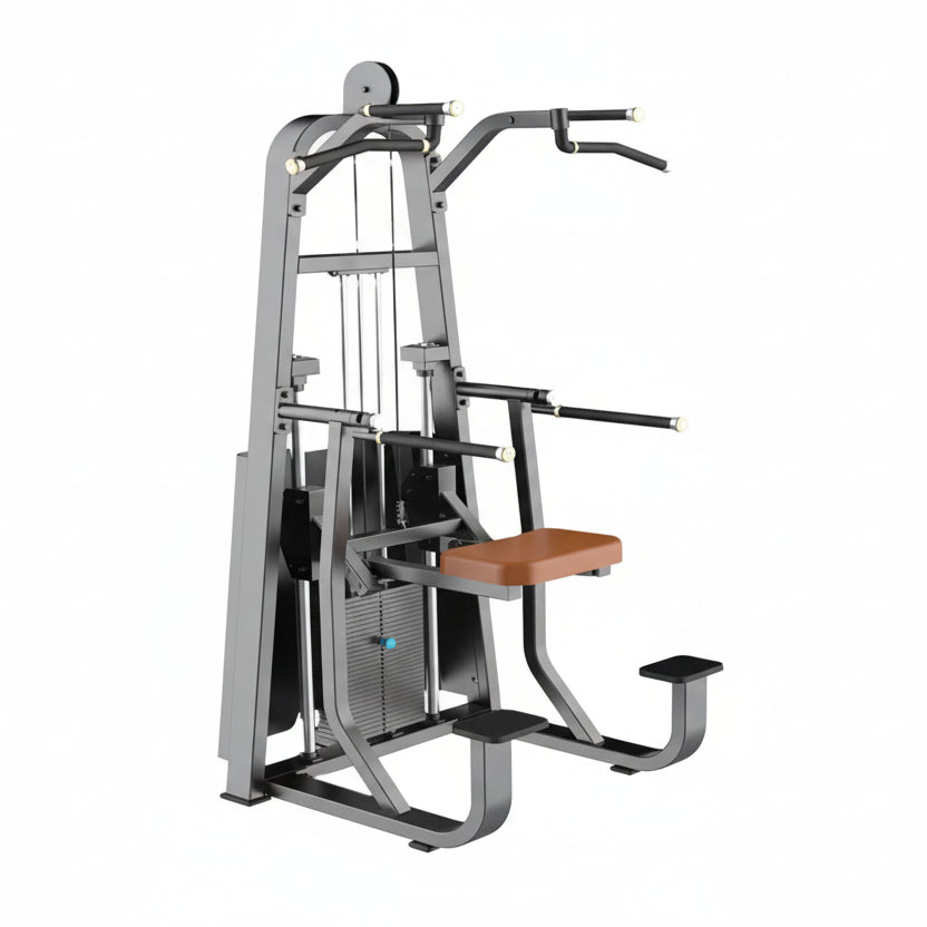 Dip/Chin Assist Machine